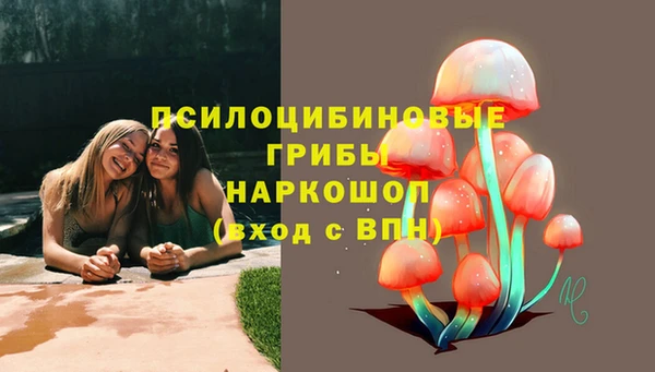 кристаллы Болотное