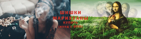 ГАЛЛЮЦИНОГЕННЫЕ ГРИБЫ Новокубанск