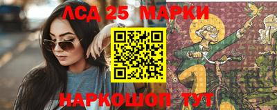 мет Камышлов