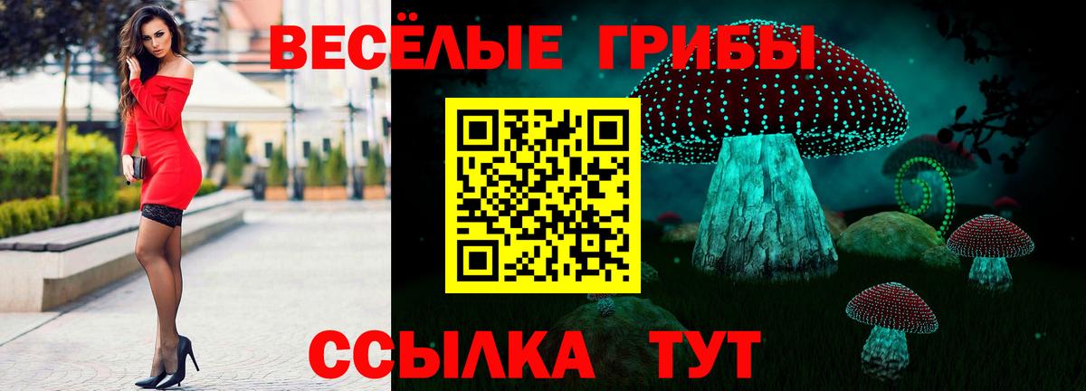 Нарткала  Псилоцибиновые грибы ЛСД  Вход с VPN 